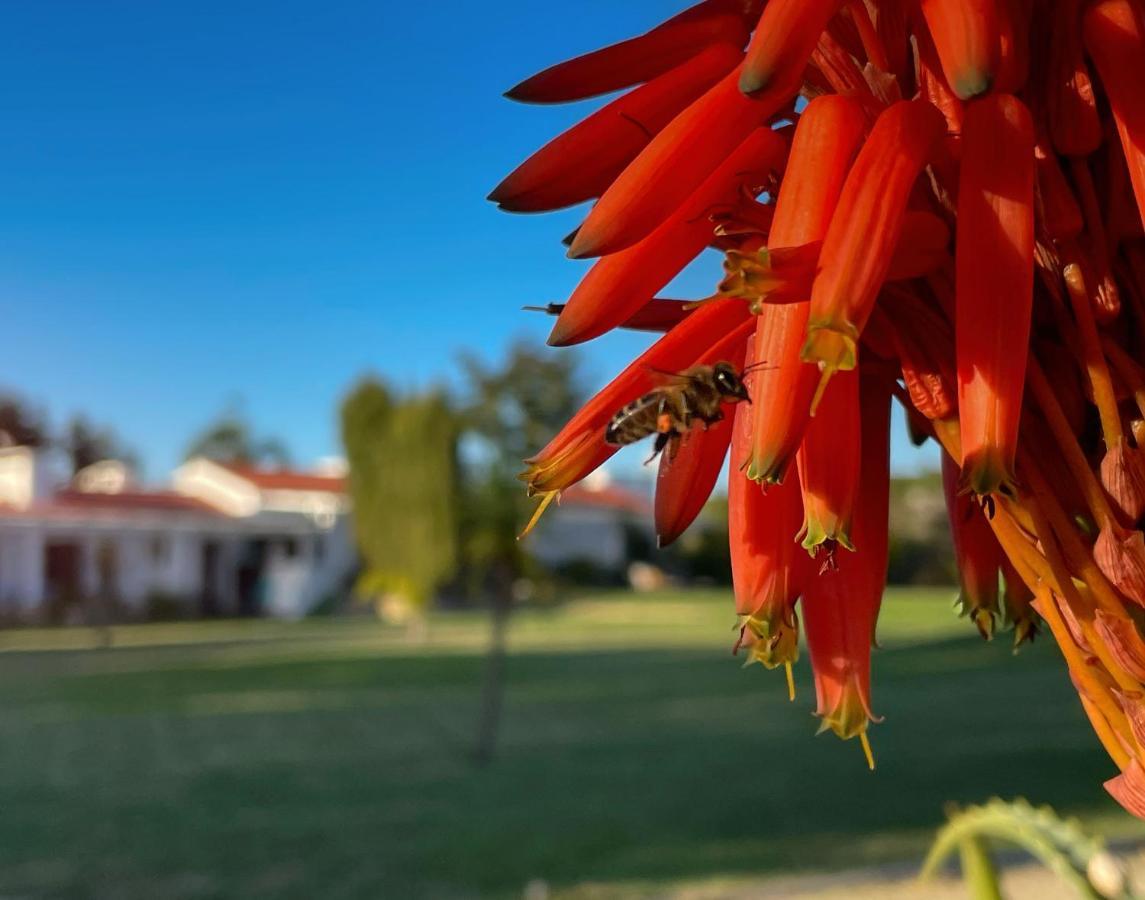 Herdade Do Kuanza Zambujeira do Mar Zewnętrze zdjęcie